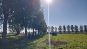 Crickt bat harvesting